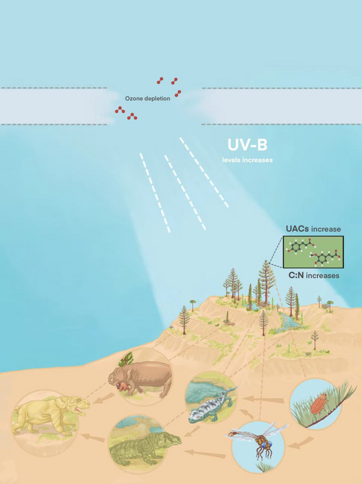 The impacts of ozone depletion and elevated UV-B levels on the terrestrial ecosystem