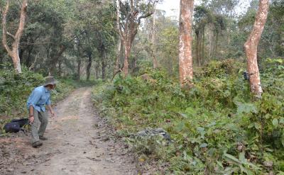 Setting up Hidden Camera in Chitwan National Park