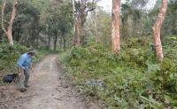 Setting up Hidden Camera in Chitwan National Park