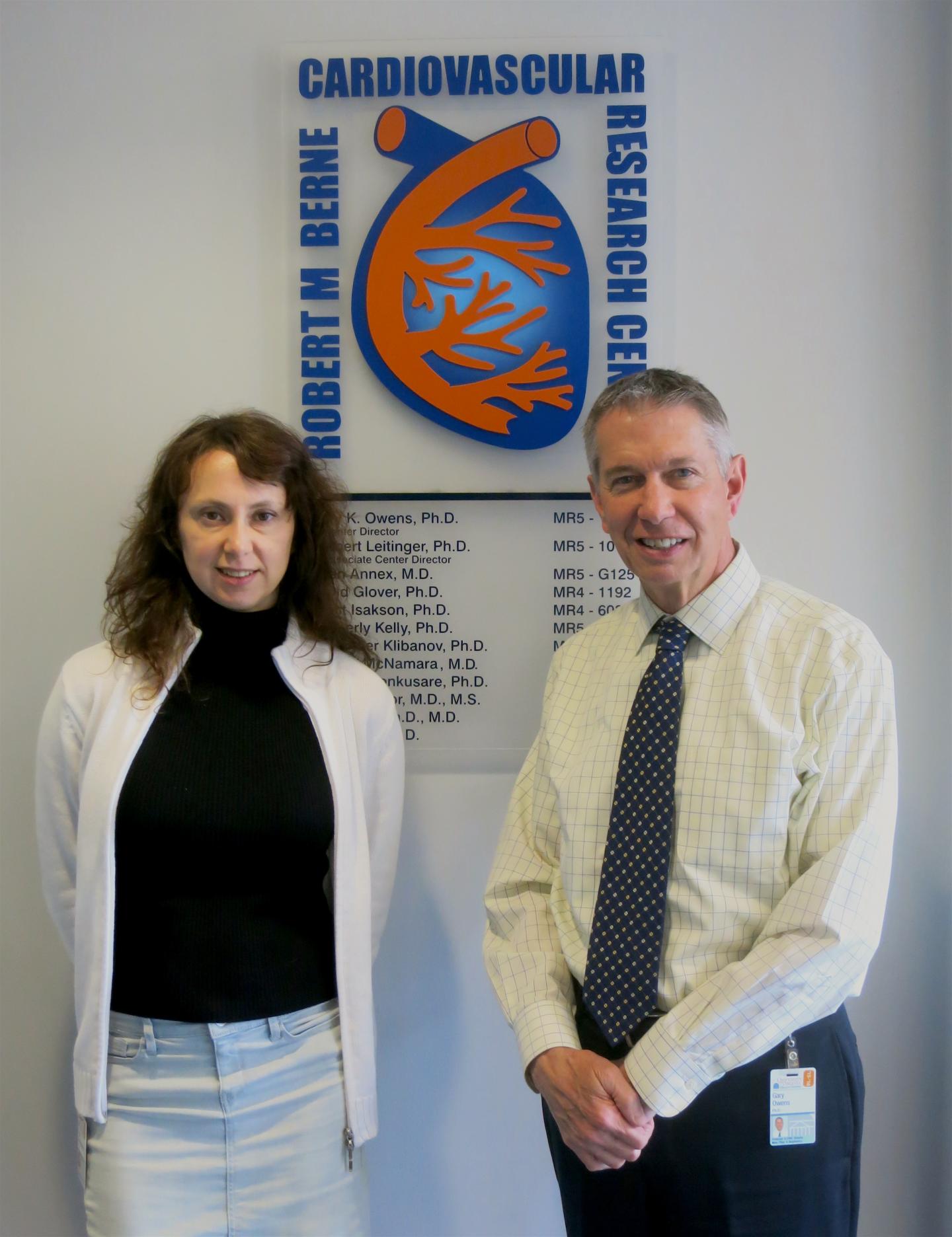 Olga Cherepanova and Gary K. Owens, University of Virginia School of Medicine