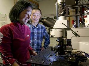 Haining Zhong, Ph.D., and Tianyi Mao, Ph.D.