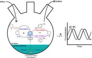 The Flow Cell with the oscillating catalytic system