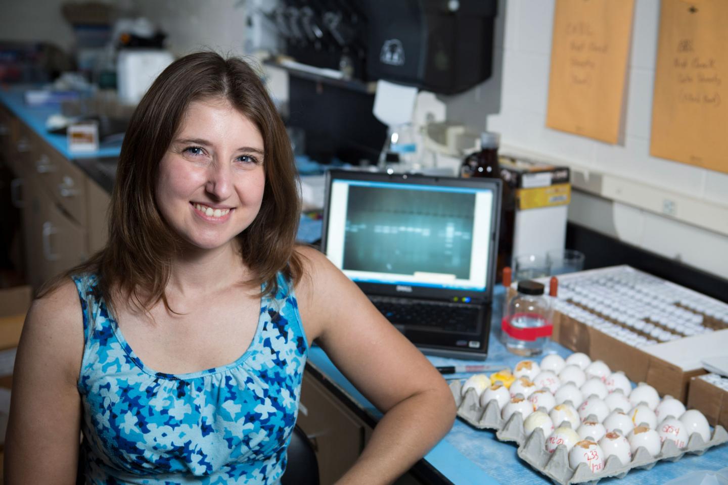 Kristen Navara, University of Georgia