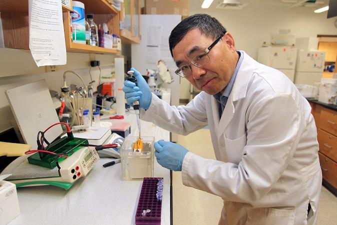 Dr. Guangyu Wu, Medical College of Georgia at Augusta University