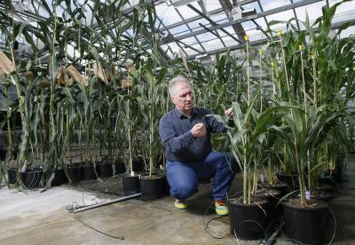 Burkhard Schulz, Purdue University