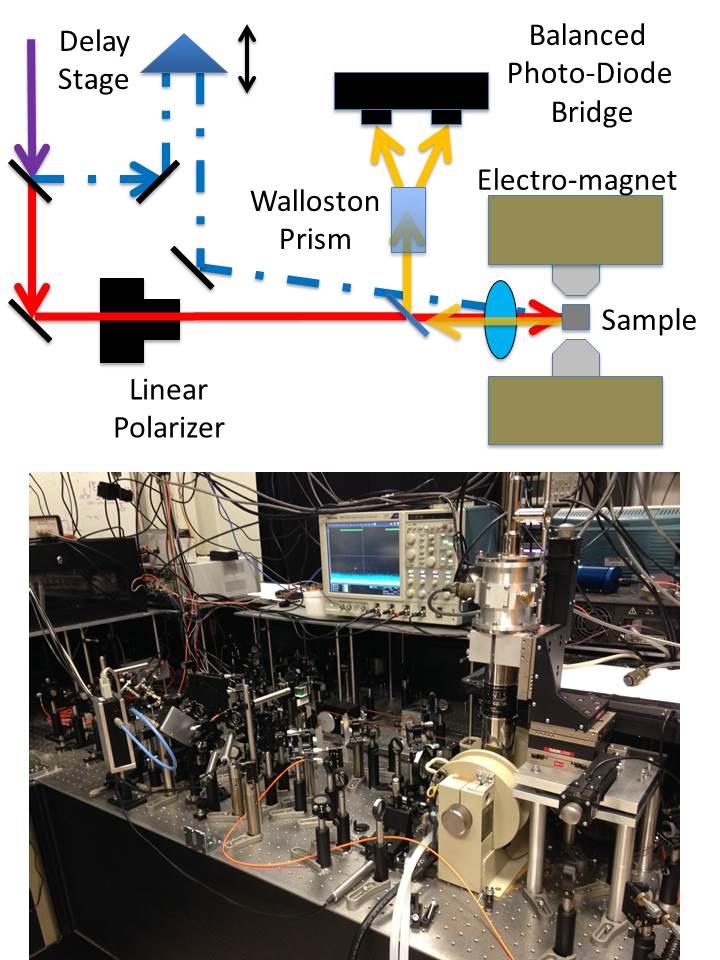 A Laser Pulse Is Split into Two Paths