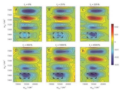 2-D-EV Spectroscopy