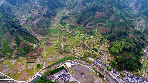 A Fragmented Habitat Caused by Intense Human Utilization in Zhejiang Province, China