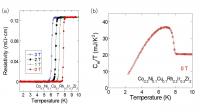 Temperature dependences of the new superconductor