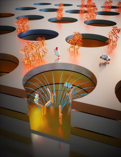 Depiction of Stress Molecules in Blood