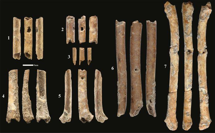 The first prehistoric wind instruments discovered in the Levant