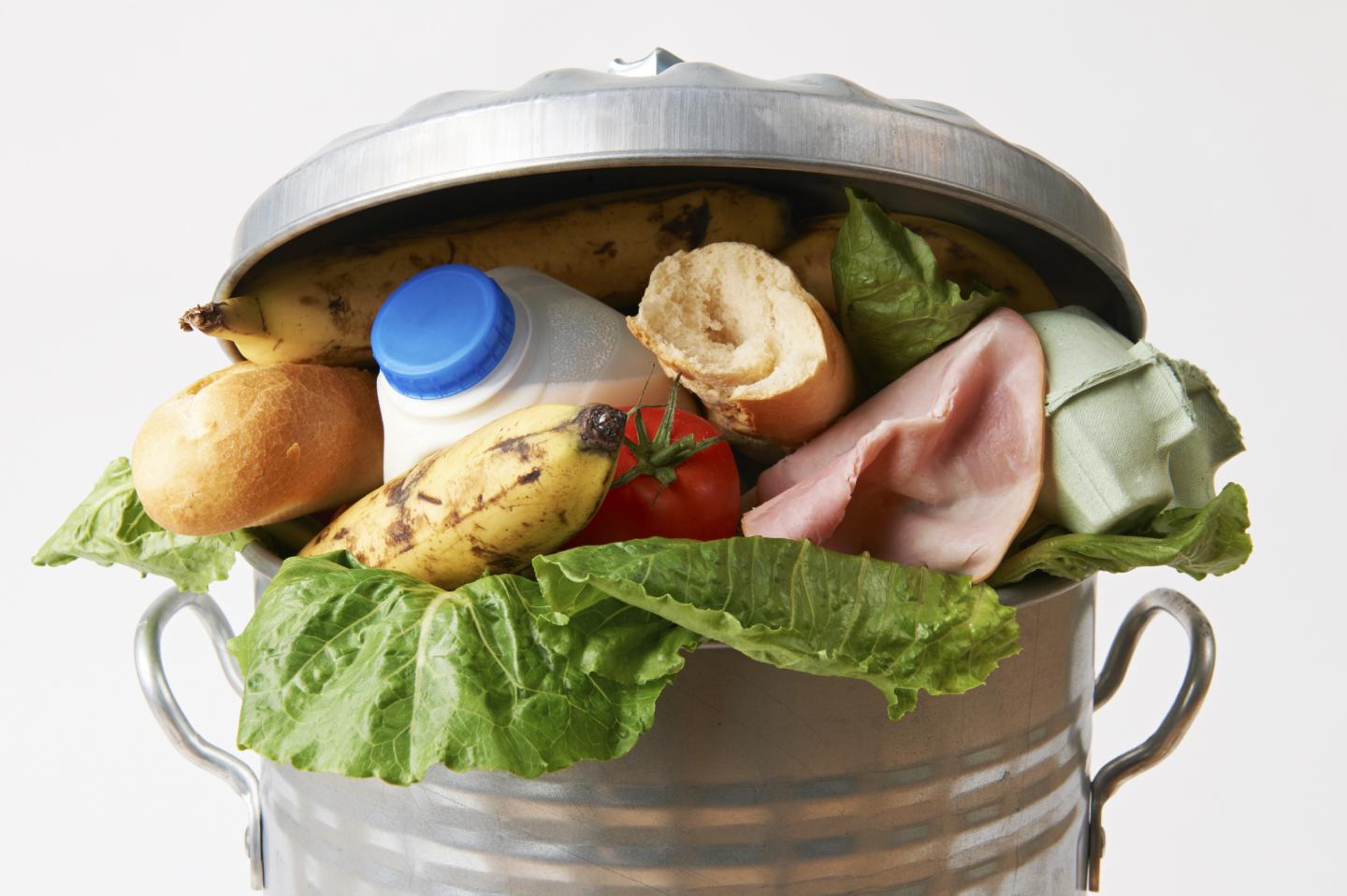 Fresh Food in Garbage Can to Illustrate Waste