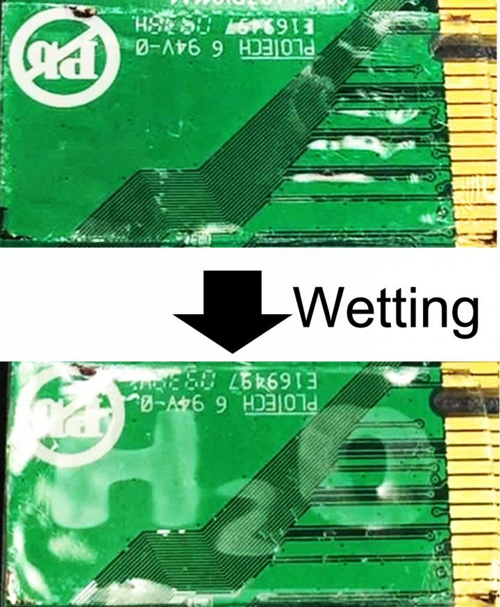 Squid, Jellyfish and Wrinkled Skin Inspire Materials for Anti-Glare Screens and Encryption