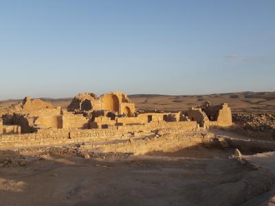 Grape pips reveal collapse of ancient economy in the grip of plague and climate change