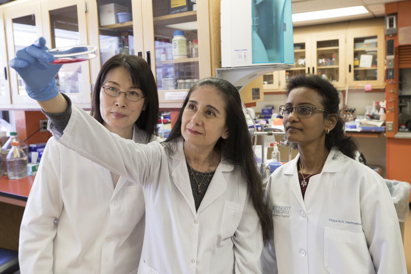 Good News in the Effort to Regrow Kidneys