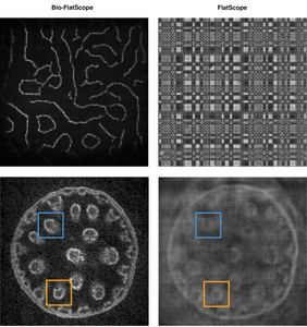 Bio-FlatScope comparison FlatScope