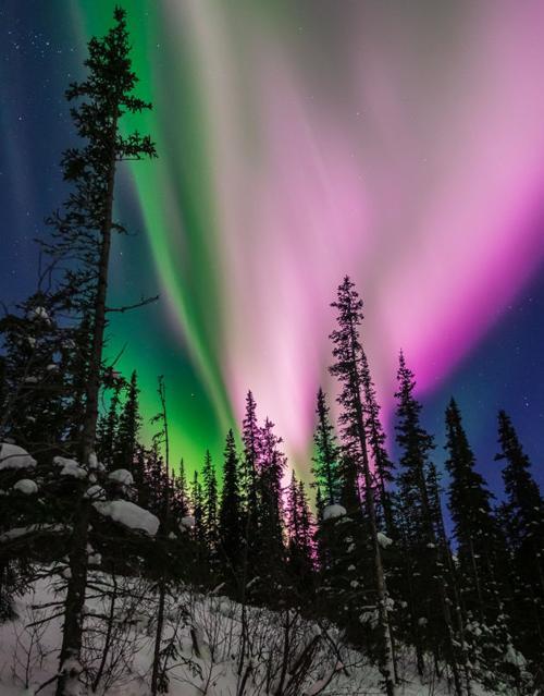 Alaskan Aurora