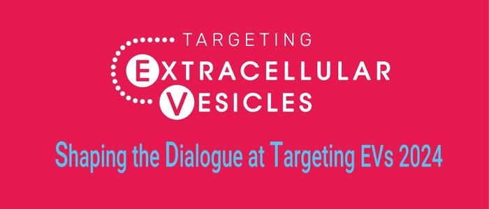 Shaping the Dialogue & Strategic Questions - Targeting EVs 2024
