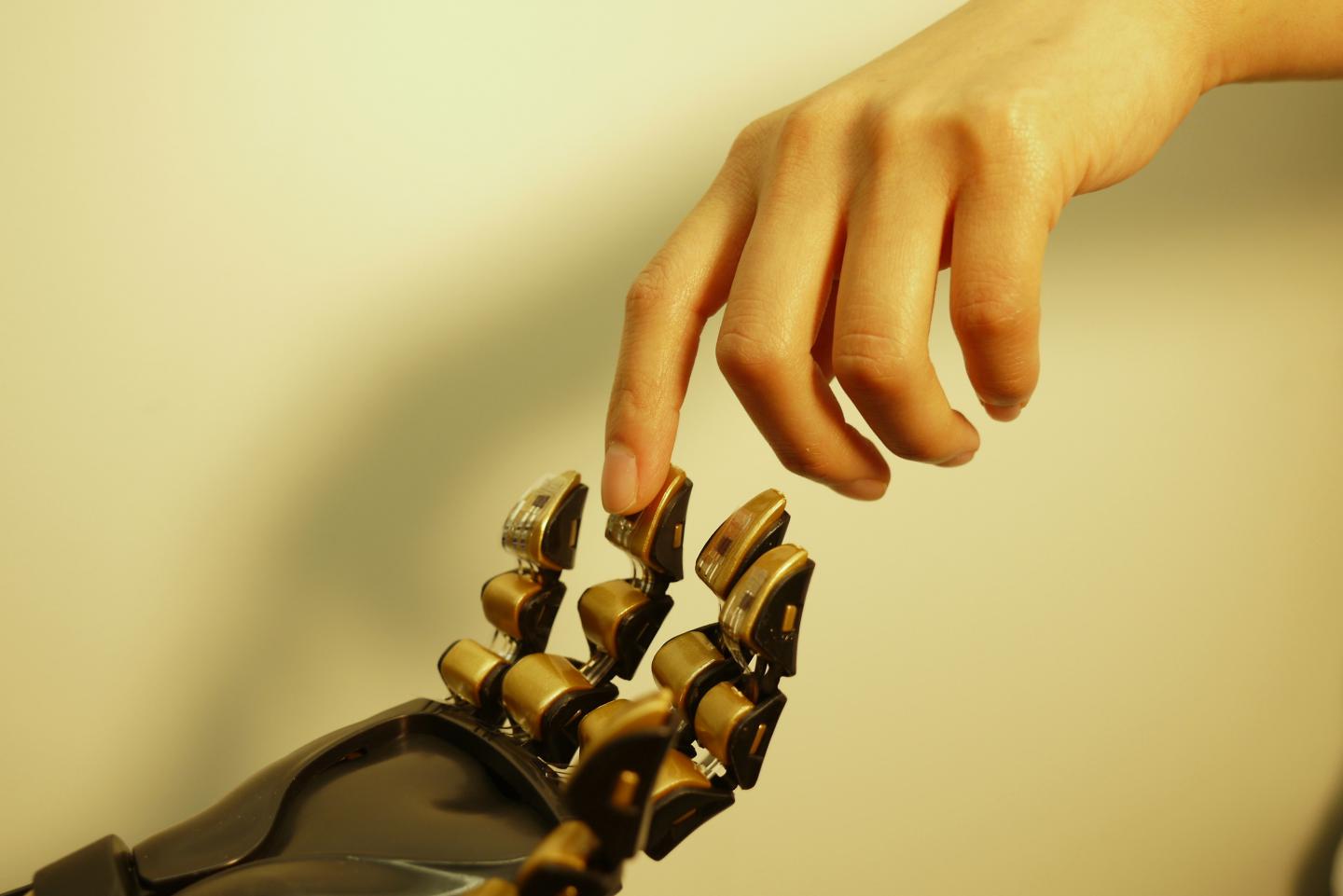 Artificial 'Skin' Could Provide Prosthetics with Sensation (7 of 8)