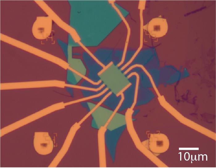 Optical image of a TDBG sample