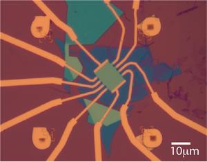 Optical image of a TDBG sample