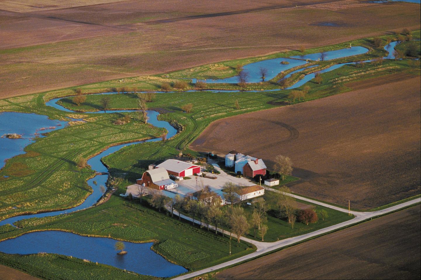 Aerial view of wetlands Embarras River