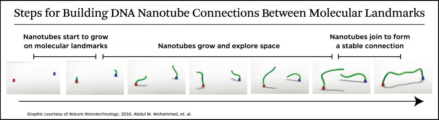 Nanobridge Graphic