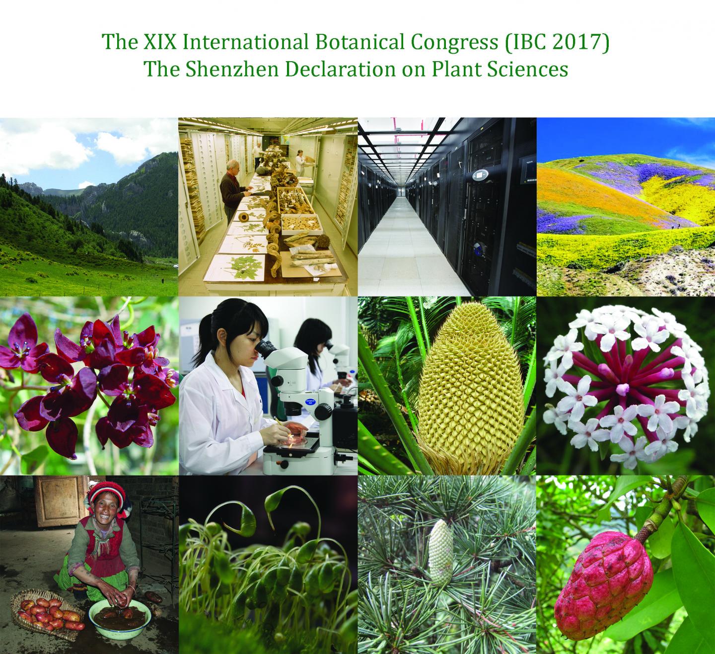 The Shenzhen Declaration for Plant Sciences