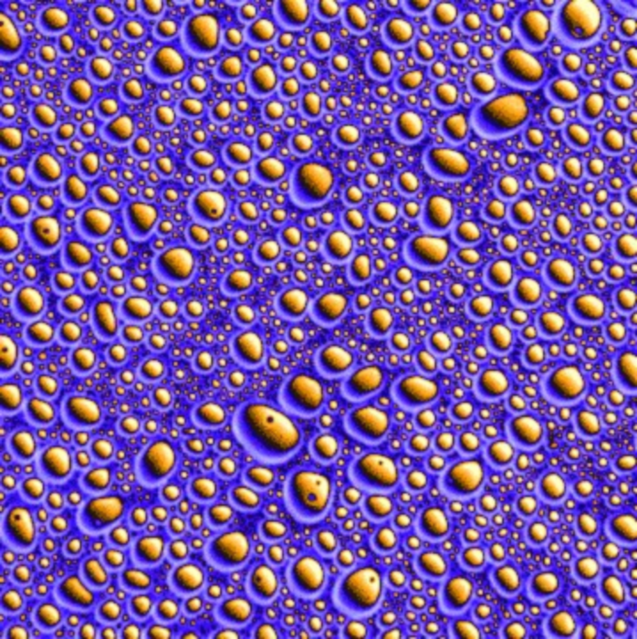 Newly constructed proliferating peptide droplet