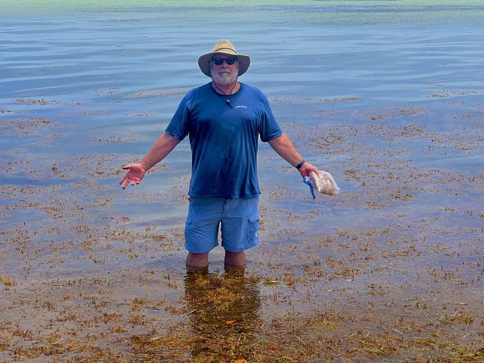 Immersed in Seaweed