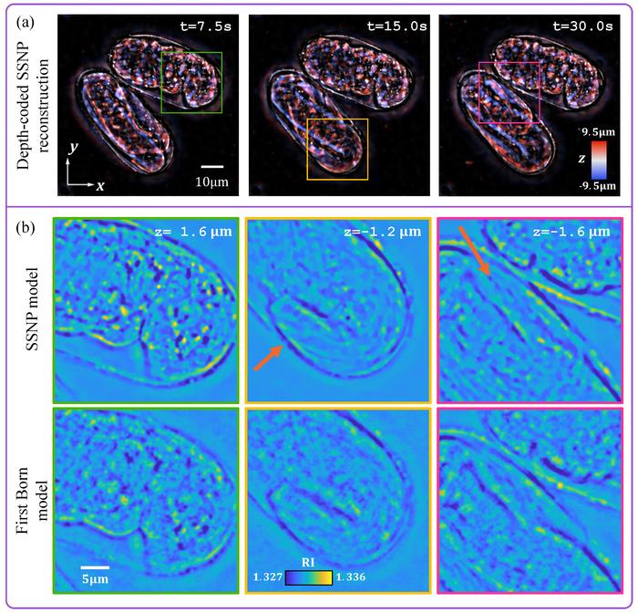 New algorithm captures complex 3D light scattering information from live specimens