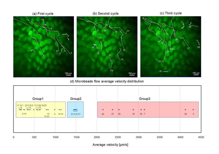 Figure 2. Quantitative analysis of the movement of fluorescent microbeads observed via the proposed microfluidic device.