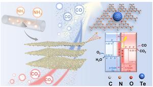 The Te/C₃N₄ p-n heterojunction, synthesized via ammonia-assisted calcination, enhances the migration of photogenerated electrons through its built-in electric field, achieving nearly 100% selectivity in the photocatalytic conversion of CO₂ to CO