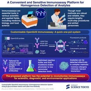 A convenient and sensitive immunoassay platform for homogenous detection of analytes