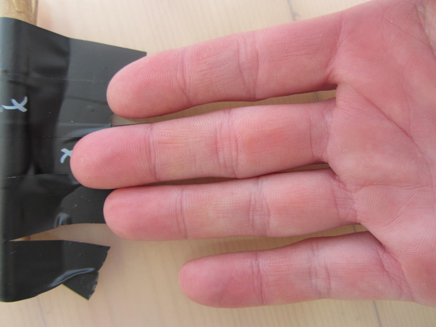 'Masculine' 2D:4D Ratio