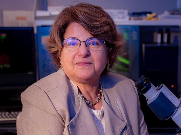 Muna Naash, John S. Dunn Endowed Professor of Biomedical Engineering at the University of Houston