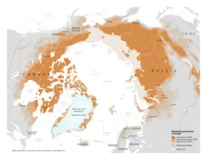 Modelled permafrost coverage