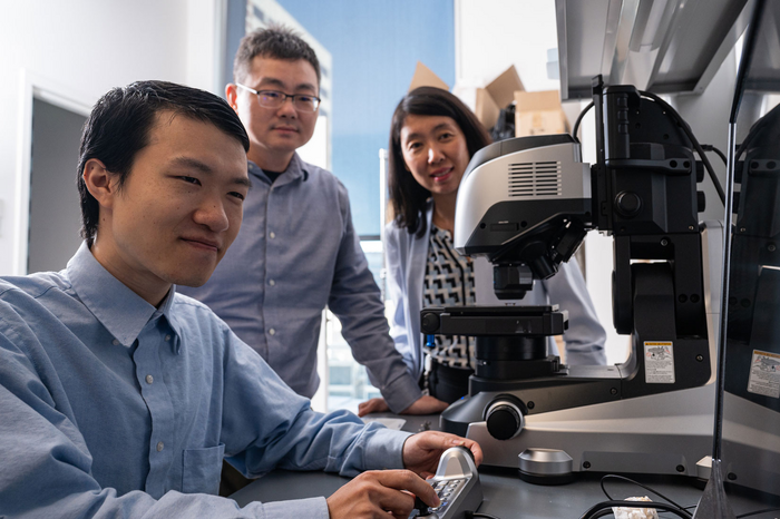 Rice University neuroengineers Hanlin Zhu, Chong Xie and Lan Luan