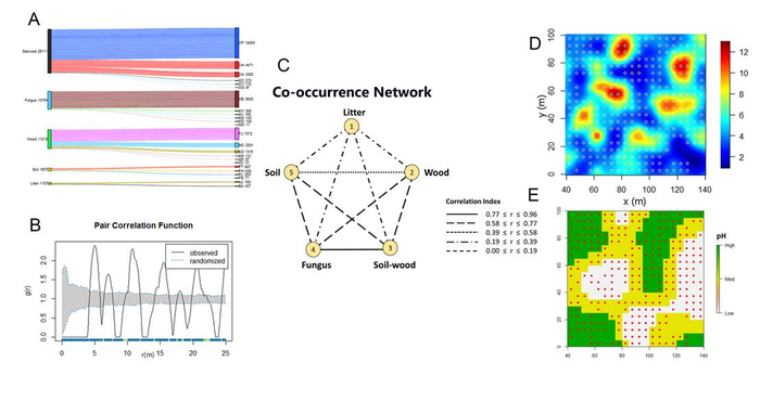 opography and soil pH steer the activity-density and spatial distribution of termites in a fine-scale study