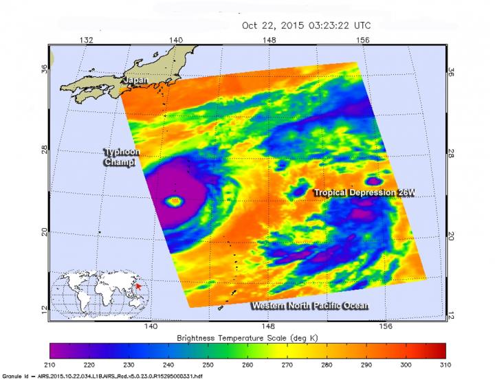 Aqua Image of Champi