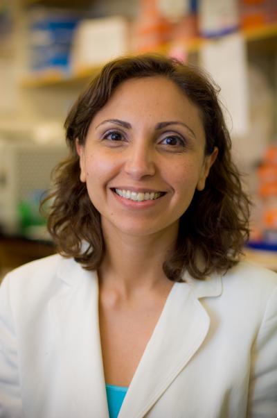 Irene Ghobrial, Dana-Farber Cancer Institute