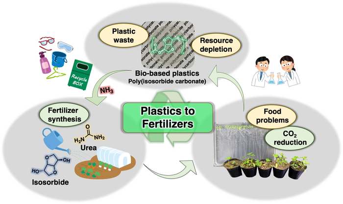 Plant from Plastics: Bio-Based Polymers Can Be Transformed into Fertilizer