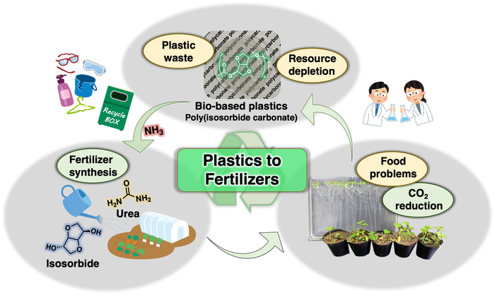 polymers and plastics