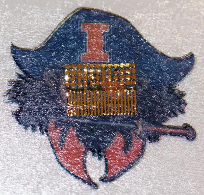 Electronic Tattoo, from the Back