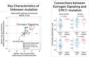 Representative Features and Identification of Mutant Genes in Patients with Unidentified Mutations