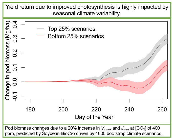 Yield return due to improve photosynthesis is highly impacted by seasonal climate variability