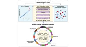 Identification of novel candidate genes in the IBD-PD cohort