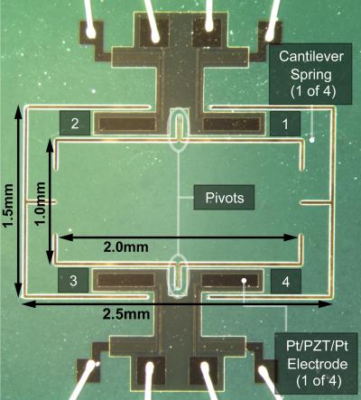 The Ormia Ochracea Mimic