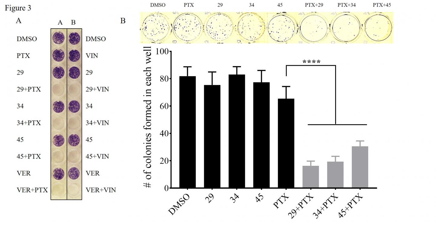 Cancer Cells Die when Treated with Chemo + Inhibitor