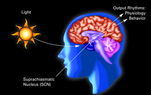 SNG Graphic, National Institute of General Medical Sciences